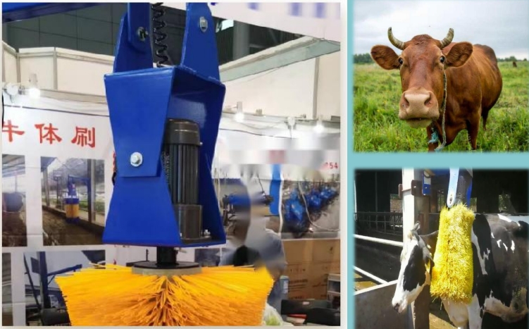 Cow Brush